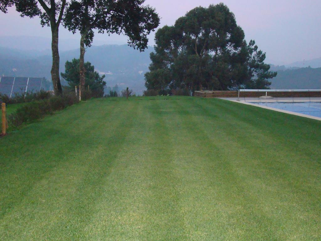 Bosque Da Harmonia Guest House Arco de Baulhe Exterior photo