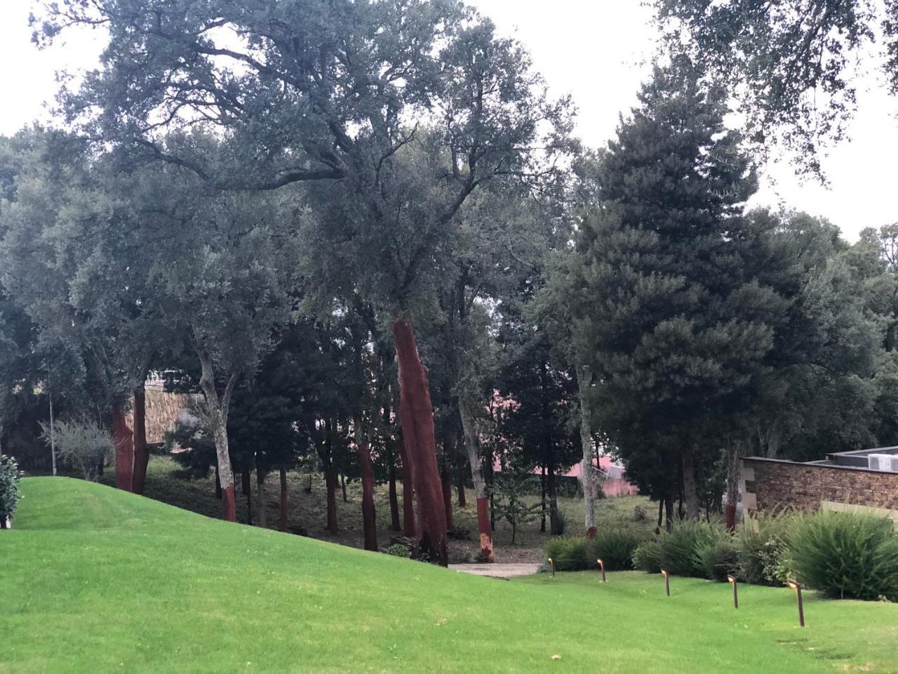 Bosque Da Harmonia Guest House Arco de Baulhe Exterior photo